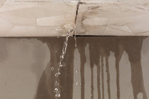 Professional Structural Drying technician working in Ronkonkoma, NY